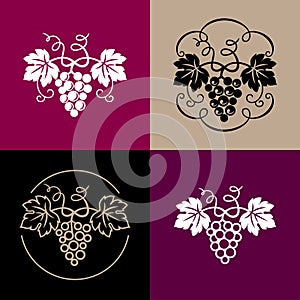 Grapes icon set.  Collection with four grapes icons contour drawing, silhouette drawing, combination drawing on pink, burgundy, bl