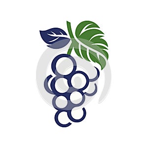 grapes icon vector