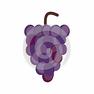 Grapes icon vector image.