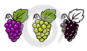 Grapes icons set