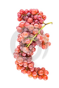 Grapes isolated