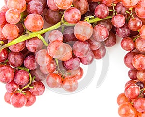 Grapes isolated