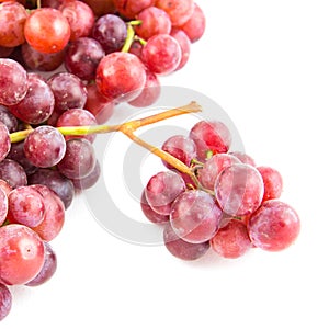 Grapes isolated