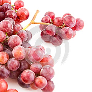 Grapes isolated