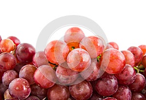 Grapes isolated