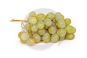 Grapes isolated