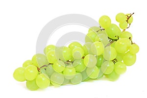 Grapes isolated on white