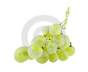 Grapes isolated on white background