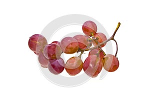 Grapes isolated on white background