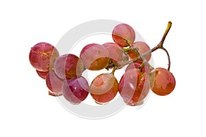 Grapes isolated on white background