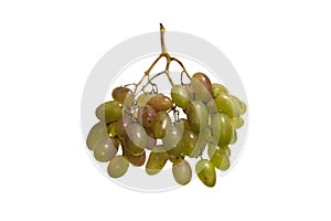 Grapes isolated on white background