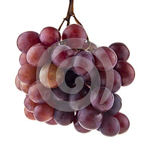 Grapes isolated on white background