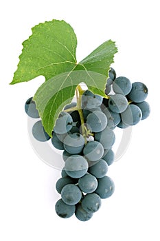 Grapes and leaf