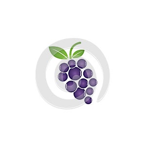 Grapes logo template vector icon illustration design.