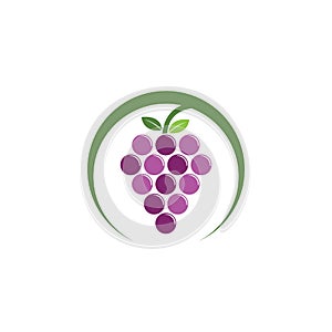 Grapes logo template vector icon illustration design.