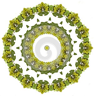 Grapes mandala photo