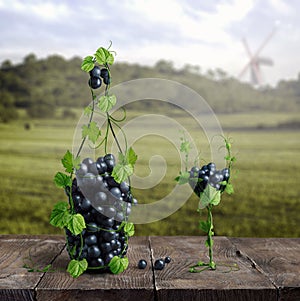 Grapes and one glass of wine of the vineyard on a wooden old background