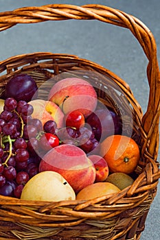 Grapes, peach, plums, cherry, harvest
