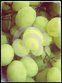Sweet green Grapes