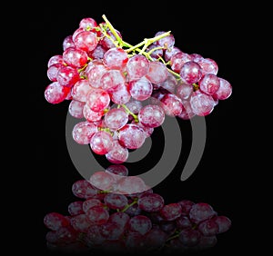 Grapes Red steam isoled white background