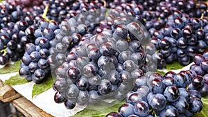 Grapes sale on a local market, selective focus