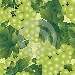 Grapes seamless pattern