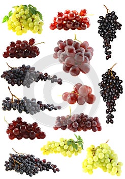 Grapes set isolated.
