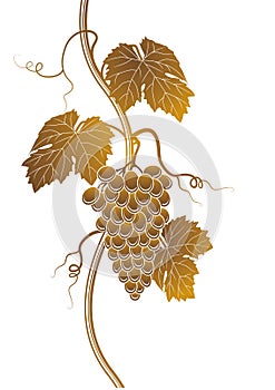 Grapes silhouette