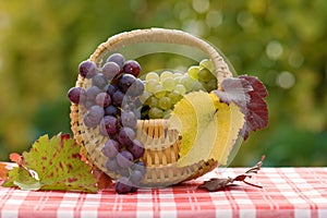 Grapes in small basket