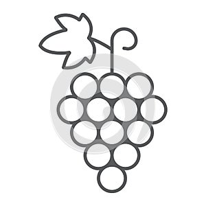 Grapes thin line icon, fruit and vitamin