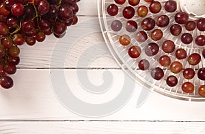 Grapes On a Tray Being Prepared to Dehydrate Into Raisins