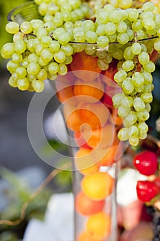 Grapes in a vase