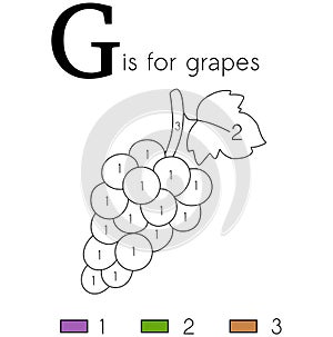 Grapes. Vector alphabet letter G, coloring page