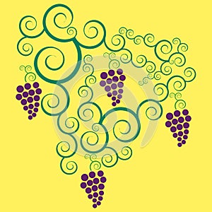 Grapes in vector format
