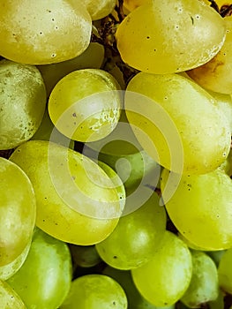 The grapes are very testy and sweet. Light green and yellow ripe grapes have been put up for sale in a basket