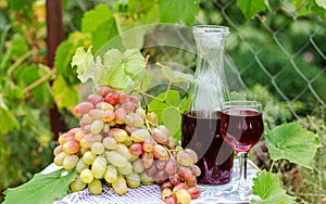 Grapes on vine with decanter and glass of red wine, set outdoors near vineyard