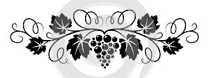 Grapes vine decorative pattern