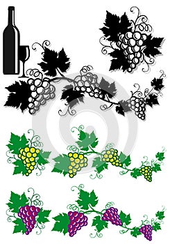 Grapes and vine leaves photo