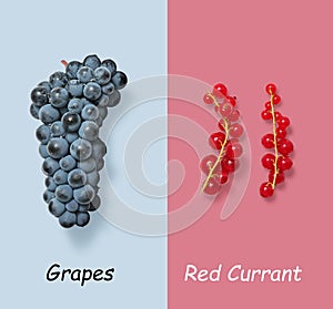 Grapes vs red currant on grey and red background