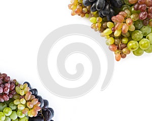 Grapes on white background. Grapes with copy space for text.