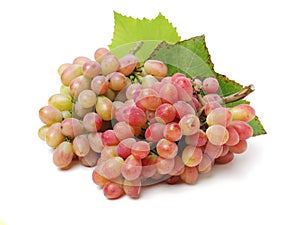 Grapes on white background