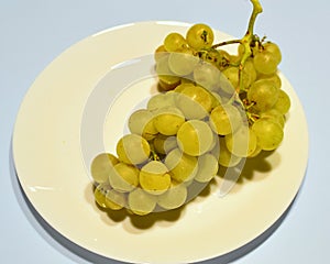 Grapes white variety Italia
