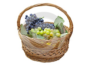 Grapes in wicker basket isolated over white