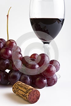 Grapes and wine photo