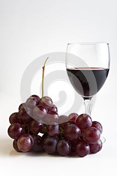 Grapes and wine photo