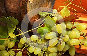 Grapes and a wine barrel