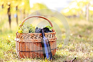 Grapes and wine bottle