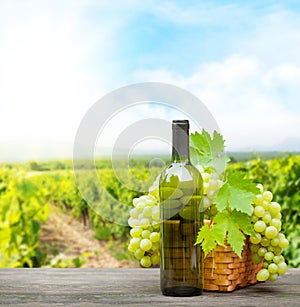 Grapes and wine in front of landscape of vineyard