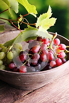 Grapes on wooden table and grape leaves . Healthy fresh fruit wine grapes