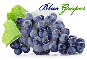 Grapeson white background